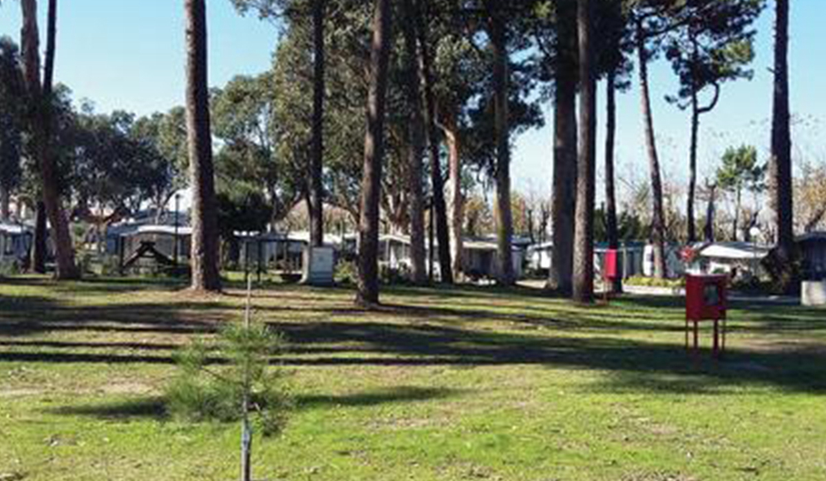 Parque de Campismo Sol de Vila Chã Norte  - Vila do Conde visuel 1/3 Parque de Campismo Sol de Vila Chã Norte  - Vila do Conde visuel 1/3