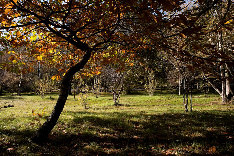 Parque de Cerdeira Norte  - Cerdeira visuel 3/4