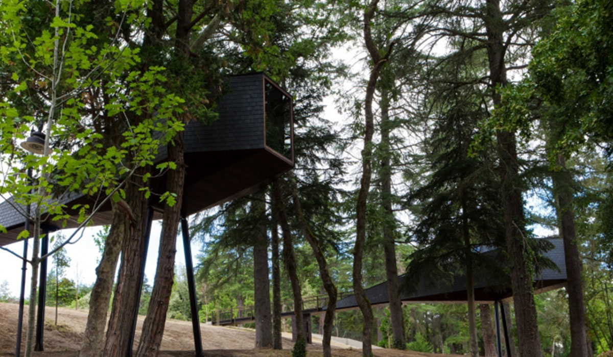 Pedras Salgadas Spa & Nature Park Norte  - Bornes de Aguiar visuel 2/6