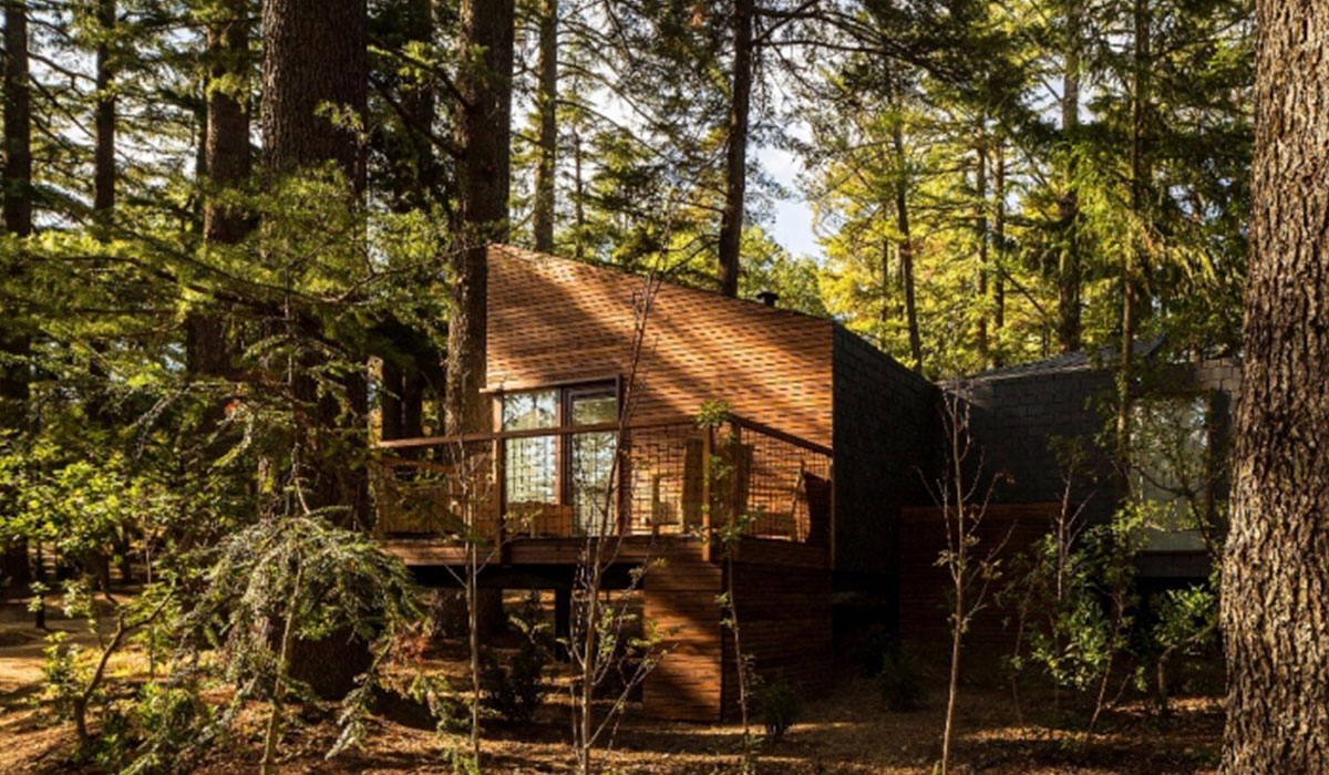 Pedras Salgadas Spa & Nature Park Norte  - Bornes de Aguiar visuel 6/6