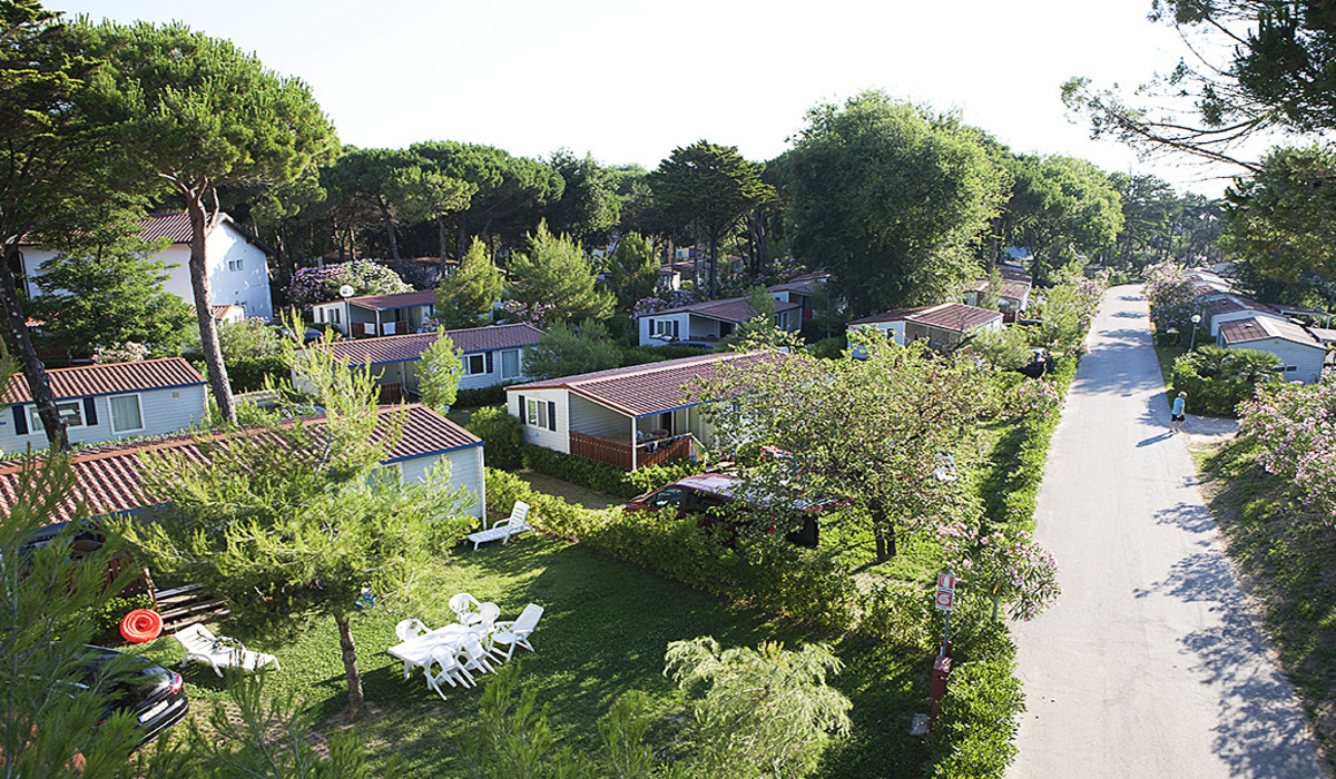 Pino Mare Friul-Venecia Julia - Lignano Sabbiadoro visuel 8/9 Pino Mare Friul-Venecia Julia - Lignano Sabbiadoro visuel 8/9