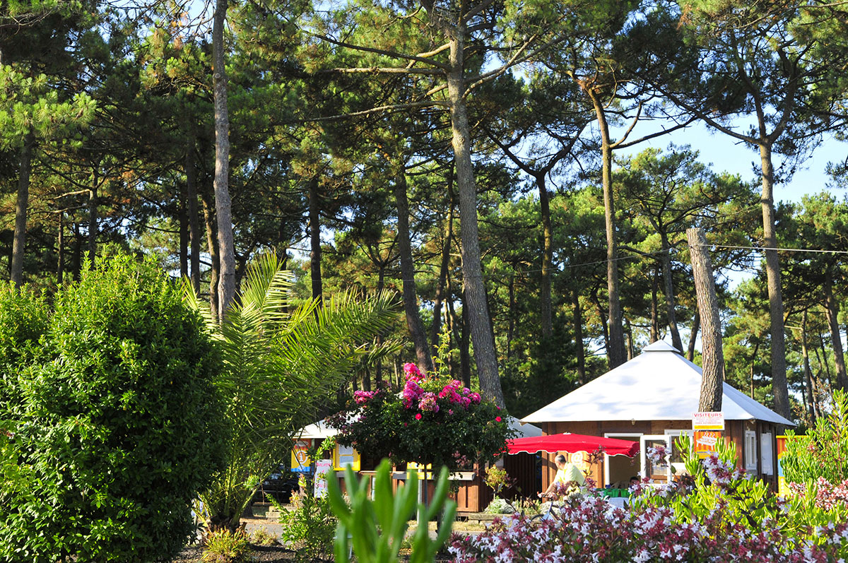 Campéole Plage Sud Aquitania - Biscarrosse-Plage visuel 34/34