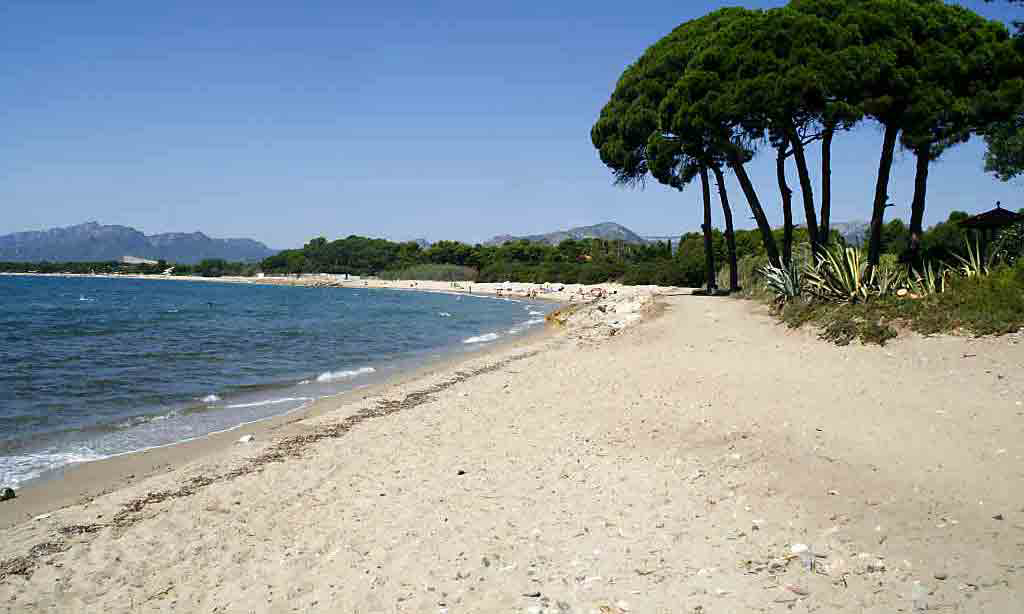 Playa y Fiesta Costa Dorada - Miami-Platja visuel 13/13 Playa y Fiesta Costa Dorada - Miami-Platja visuel 13/13