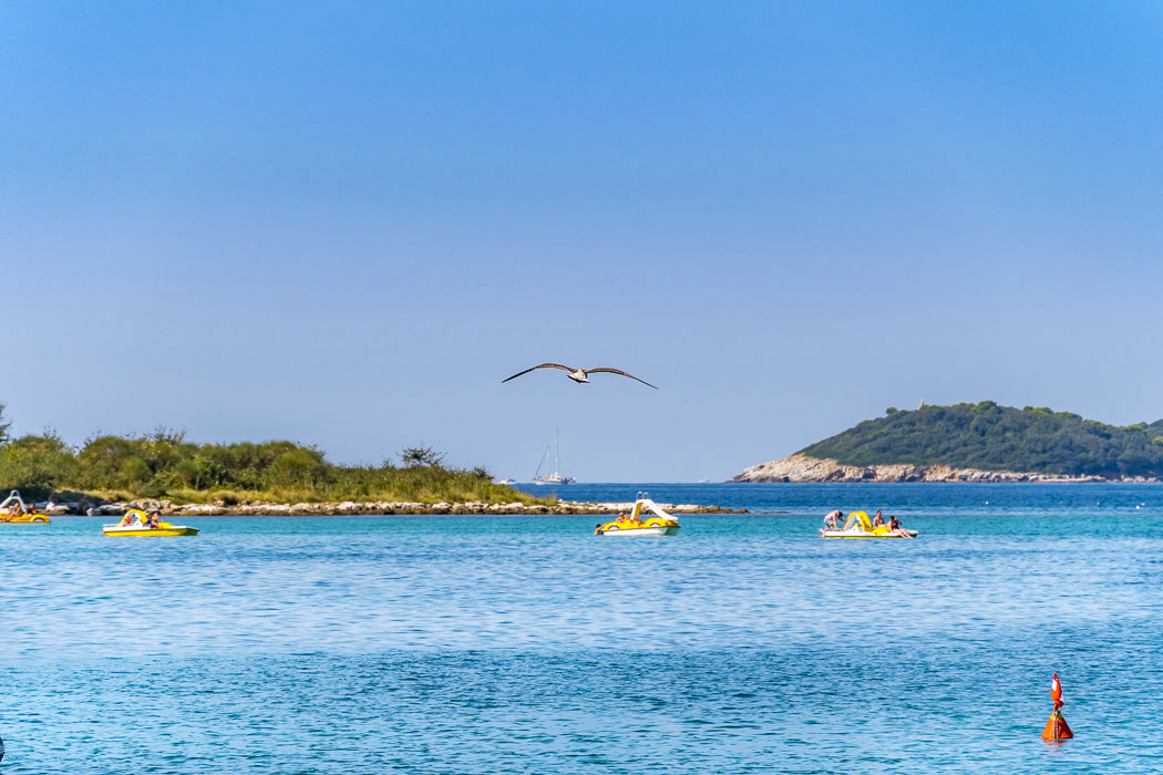 Polari Istria - Rovinj visuel 7/12