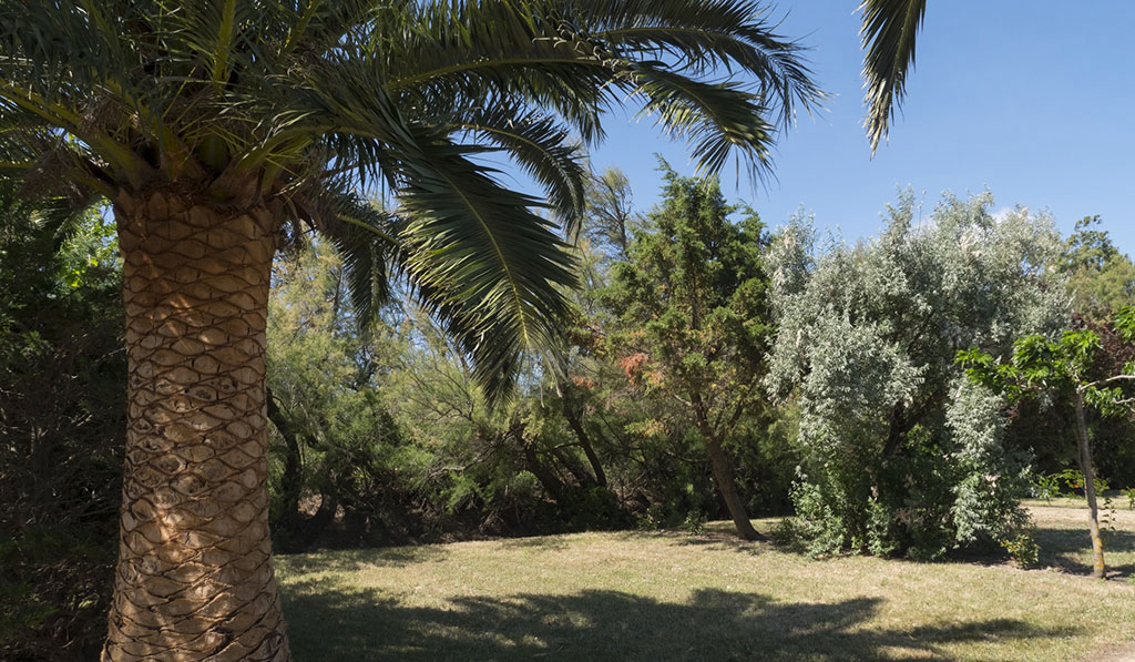 Pré Catalan Languedoc-Rosellón - Le Barcarès visuel 8/13