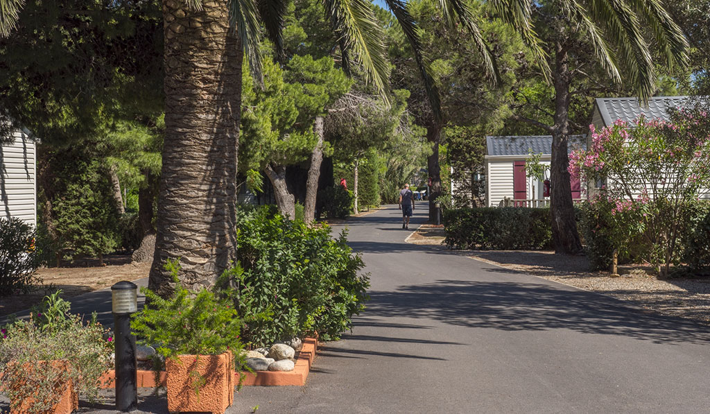 Pré Catalan Languedoc-Rosellón - Le Barcarès visuel 6/13