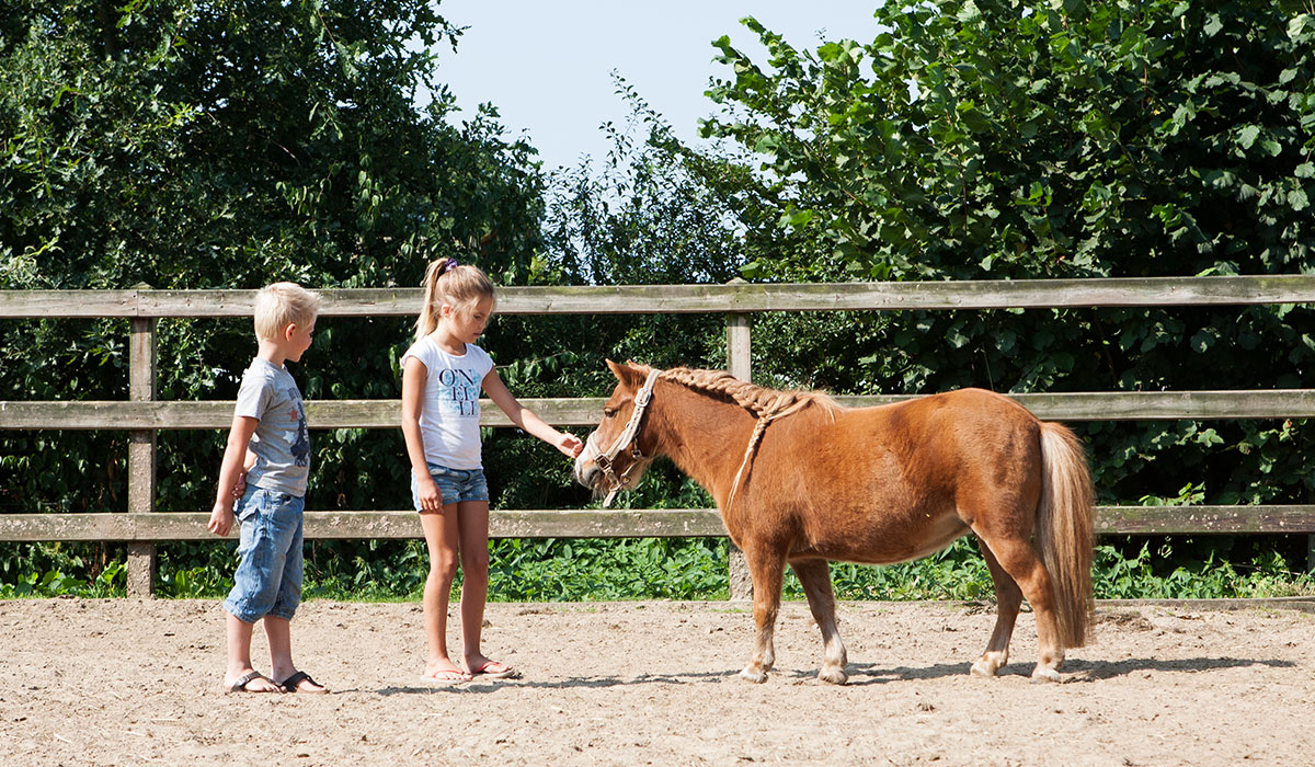 Recreatiepark De Boshoek Güeldres - voorthuizen visuel 6/6
