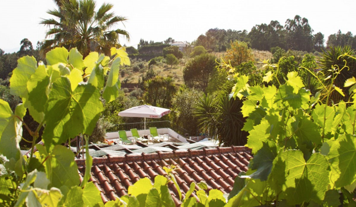 Redondo Centro - Tomar visuel 2/3