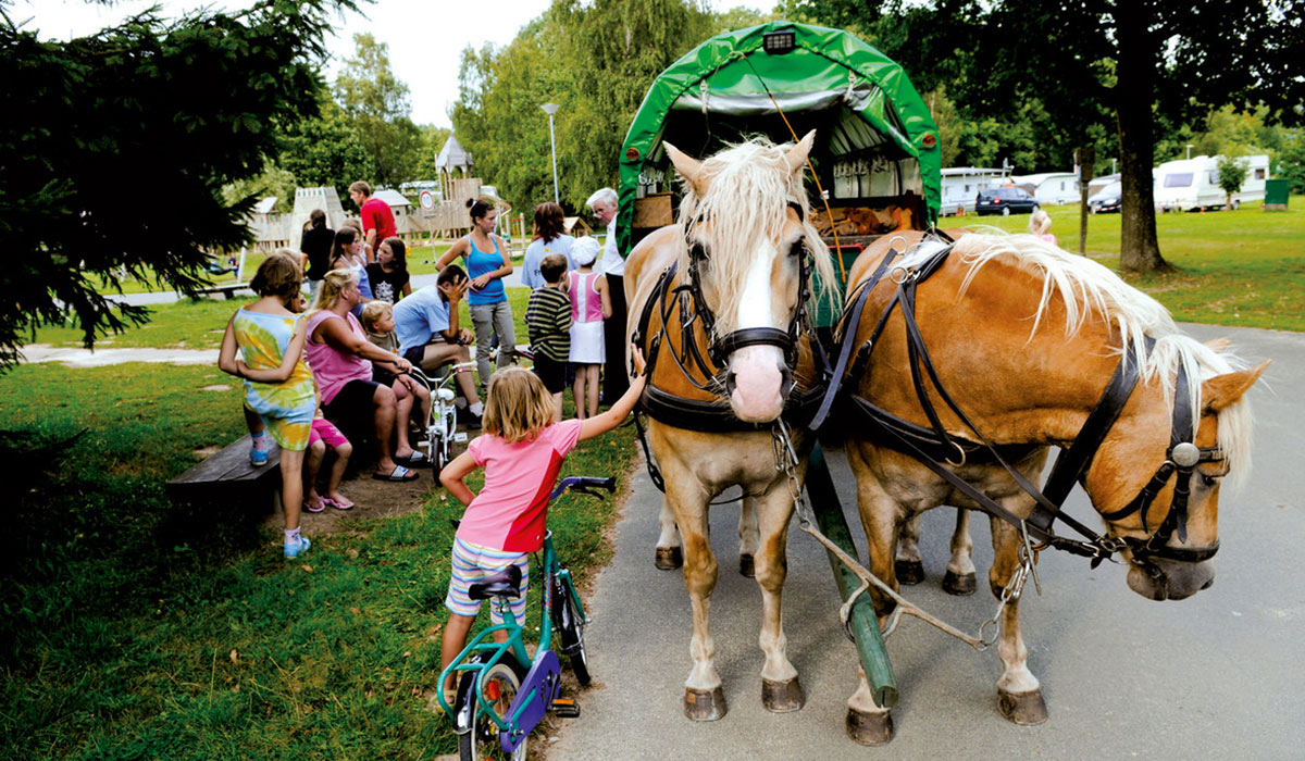 Regenbogen Tecklenburg Renania del Norte-Westfalia - tecklenburg visuel 5/5 Regenbogen Tecklenburg Renania del Norte-Westfalia - tecklenburg visuel 5/5