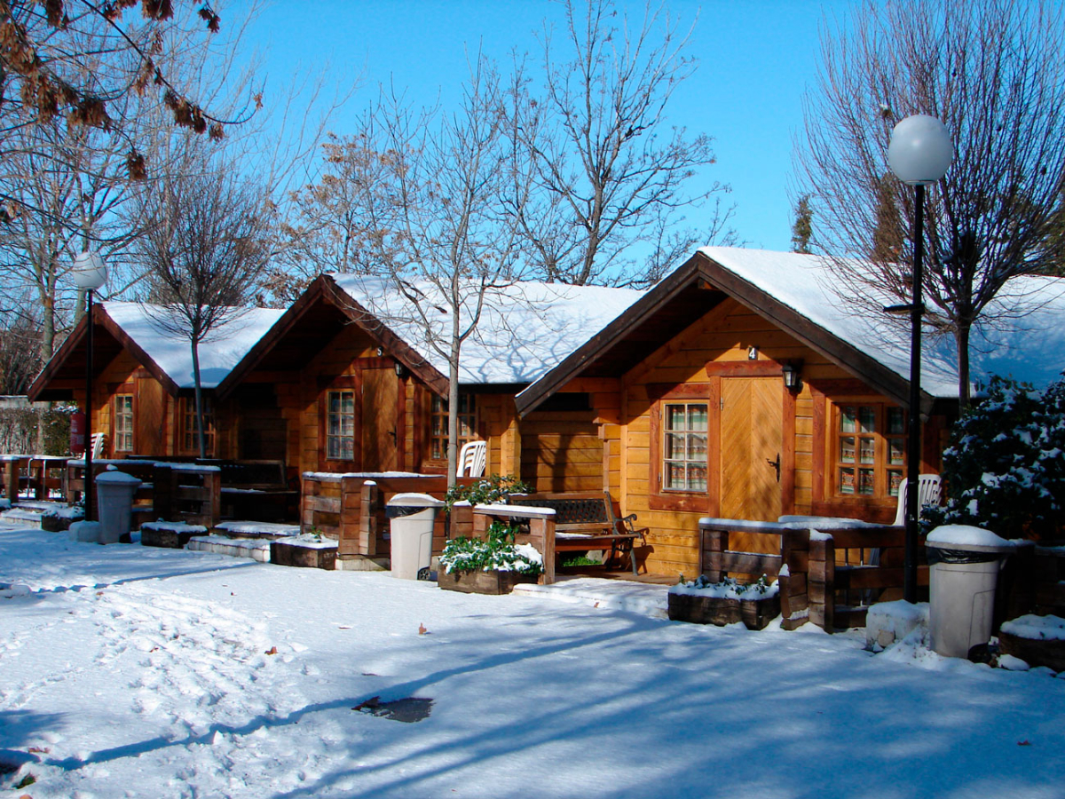 Reina Isabel Andalucía - La Zubia visuel 2/2