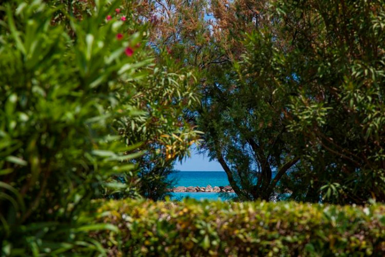 Residence Casabianca Marcas - Porto San Giorgio visuel 2/7