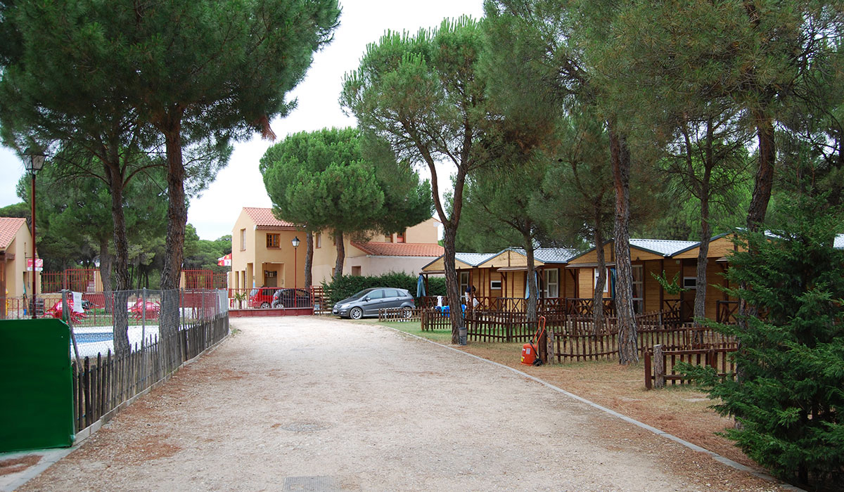 Riberduero Castilla y León - Peñafiel visuel 2/2
