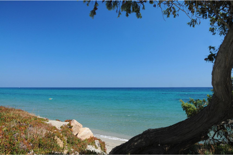 Riva Bella Domaine Naturiste - Córcega - Aléria visuel 2/9