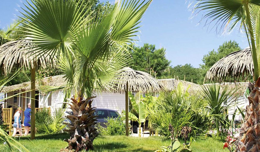 Riviera d'Azur Provenza-Alpes-Costa Azul - Saint-Aygulf visuel 20/24 Riviera d'Azur Provenza-Alpes-Costa Azul - Saint-Aygulf visuel 20/24