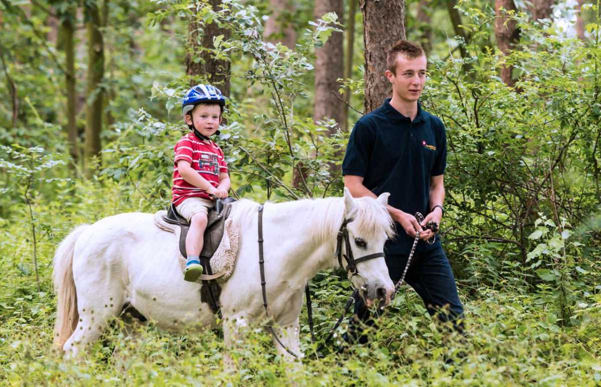 Rosenfelder Strand Ostsee Schleswig-Holstein - Grube visuel 3/3 Rosenfelder Strand Ostsee Schleswig-Holstein - Grube visuel 3/3