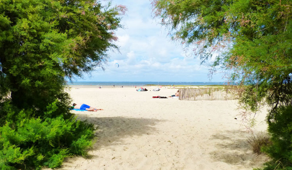 Routes du Monde ATC-La Hume Aquitania - Gujan-Mestras visuel 1/3