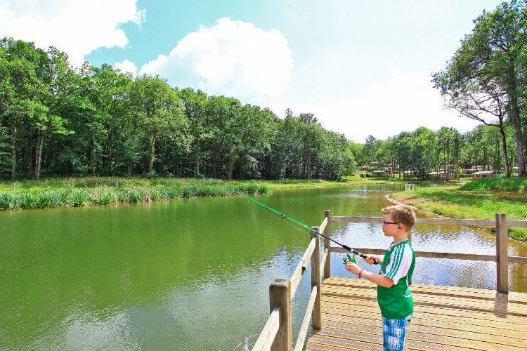 Saint Avit Loisirs Aquitania - Saint-Avit-de-Vialard visuel 14/14 Saint Avit Loisirs Aquitania - Saint-Avit-de-Vialard visuel 14/14