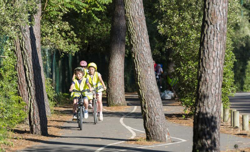 Les Cabanes d'Oléron Países del Loira - Talmont-Saint-Hilaire visuel 5/10 Les Cabanes d'Oléron Países del Loira - Talmont-Saint-Hilaire visuel 5/10
