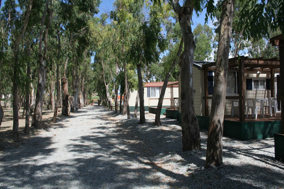 Salicamp Boschetto Holiday Sicilia - Terme Vigliatore visuel 3/4