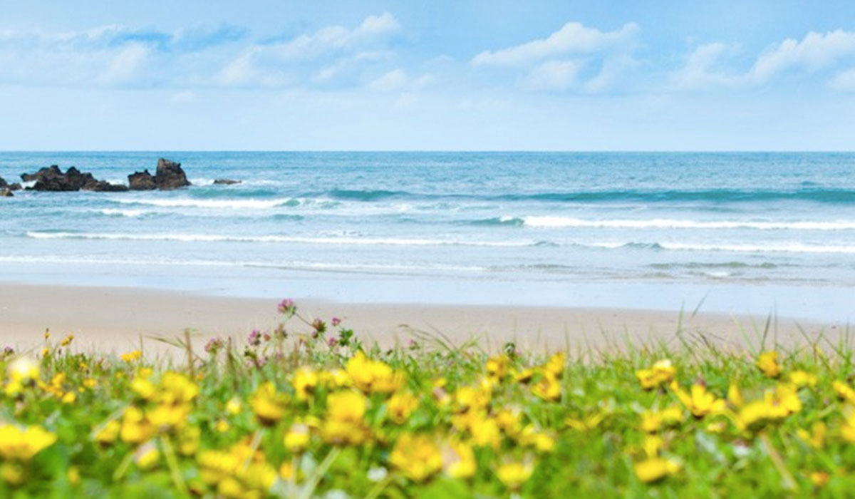 San Pedro de la Ribera Asturias - Cudillero visuel 1/2
