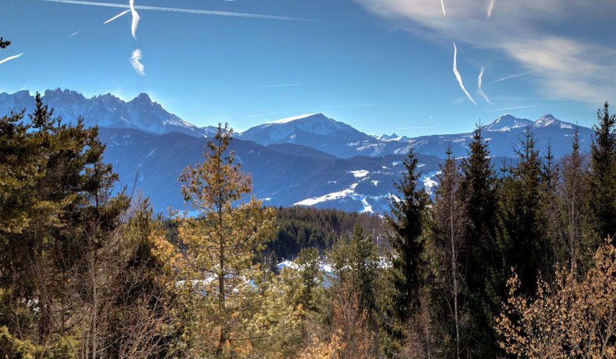 Schartner Alm Trentino-Alto Adigio - Renon visuel 1/1