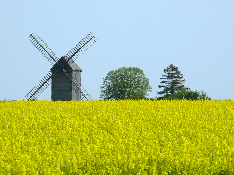 Senonches centro valle - Senonches visuel 1/1 Senonches centro valle - Senonches visuel 1/1