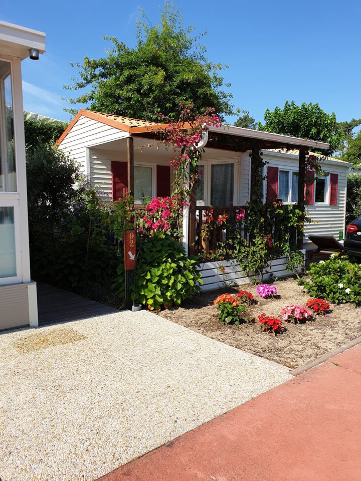 Sereia da Gelfa Norte  - Caminha visuel 4/4