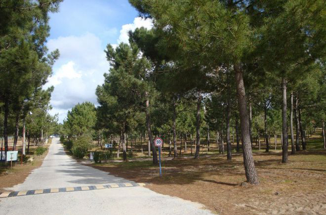 Sitava Milfontes Alentejo - Vila Nova de Milfontes visuel 3/5