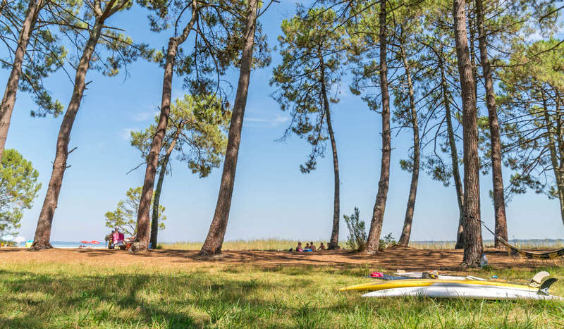 Slow Village Biscarrosse Lac Aquitania - Biscarrosse visuel 9/12