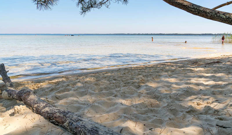 Slow Village Biscarrosse Lac Aquitania - Biscarrosse visuel 10/12