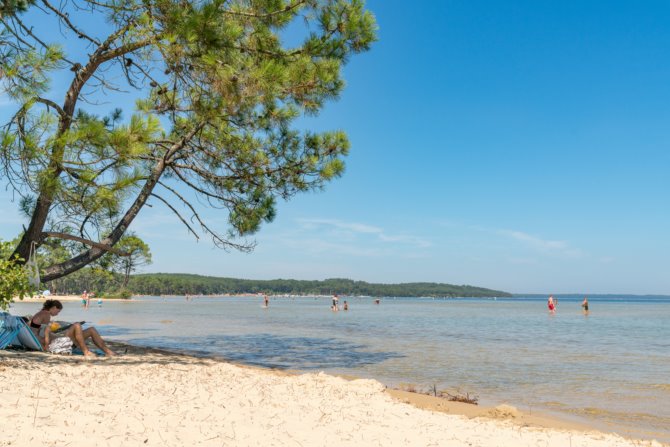 Slow Village Biscarrosse Lac Aquitania - Biscarrosse visuel 11/12