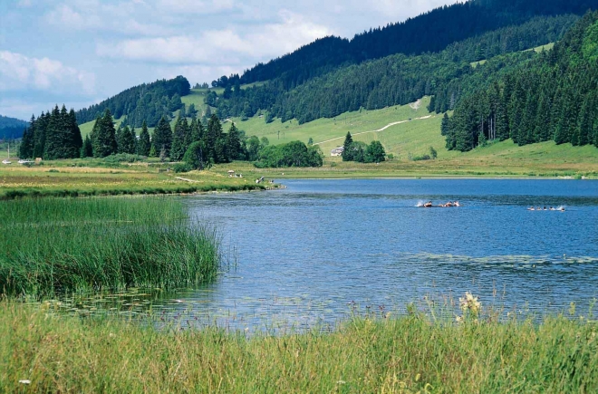 Sous Doriat Franco Condado - Monnet-la-Ville visuel 2/17