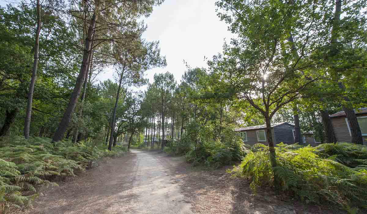 Soustons Village Aquitania - Soustons visuel 20/25 Soustons Village Aquitania - Soustons visuel 20/25