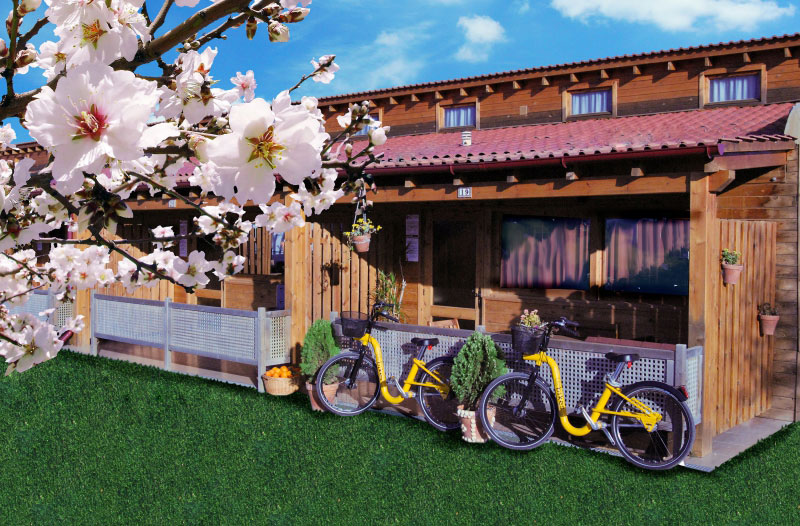 Spa Natura Resort Costa del Azahar - Peñiscola visuel 12/12 Spa Natura Resort Costa del Azahar - Peñiscola visuel 12/12