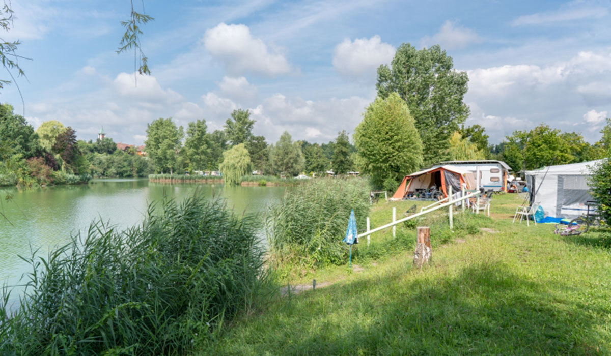 Sperrfechter Freizeitpark Baden-Wurtemberg - Oedheim visuel 1/2 Sperrfechter Freizeitpark Baden-Wurtemberg - Oedheim visuel 1/2