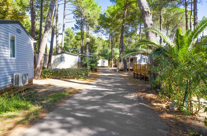 Taxo Les Pins Languedoc-Rosellón - Argelès-sur-Mer visuel 8/17