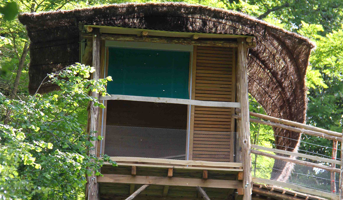 Domaine Terragora Lodges Países del Loira - Les Épesses visuel 9/12