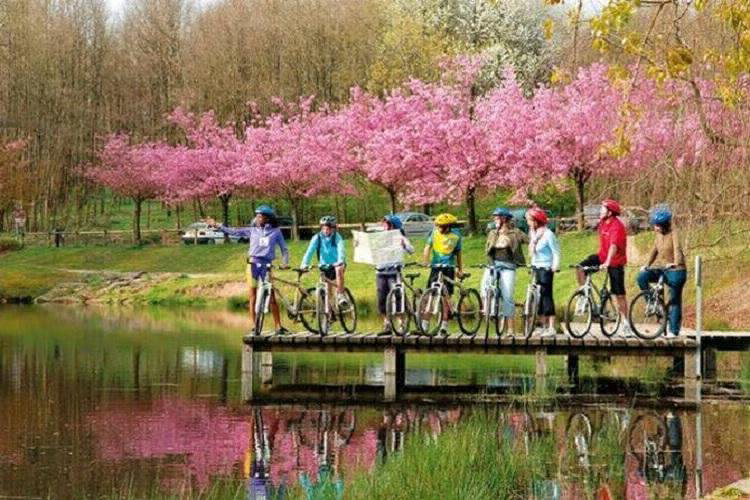 Villages Bitche Lorena - Bitche visuel 6/8