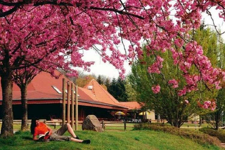 Villages Bitche Lorena - Bitche visuel 5/8