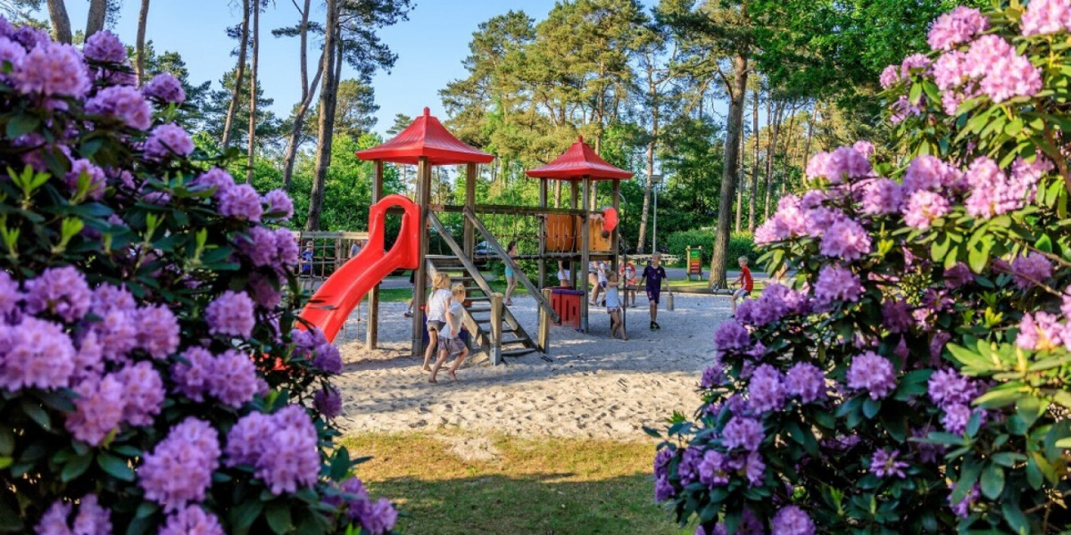 Vakantiepark Diana Heide Drente - amen visuel 4/4