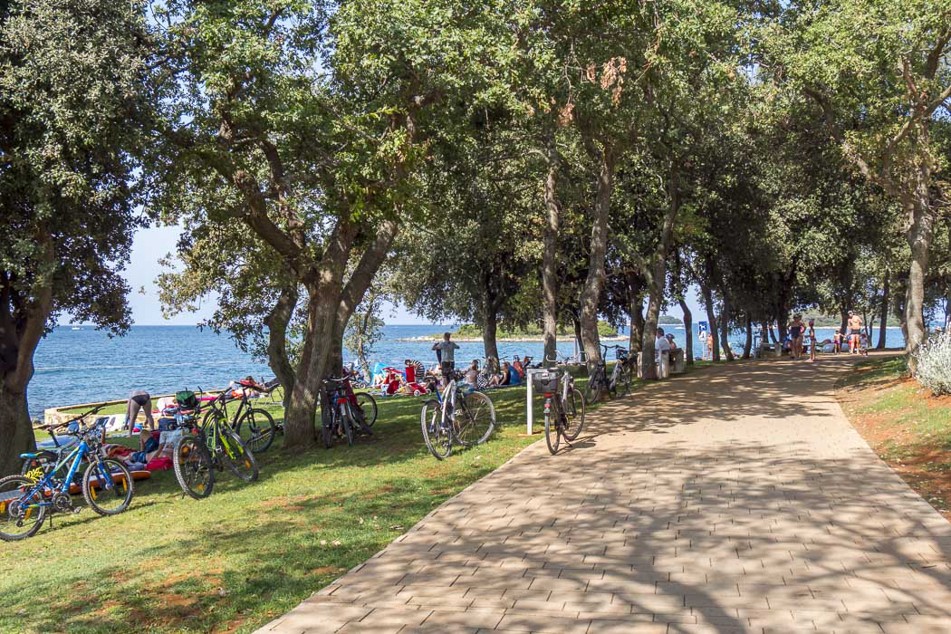 Valkanela Istria - Vrsar visuel 13/14