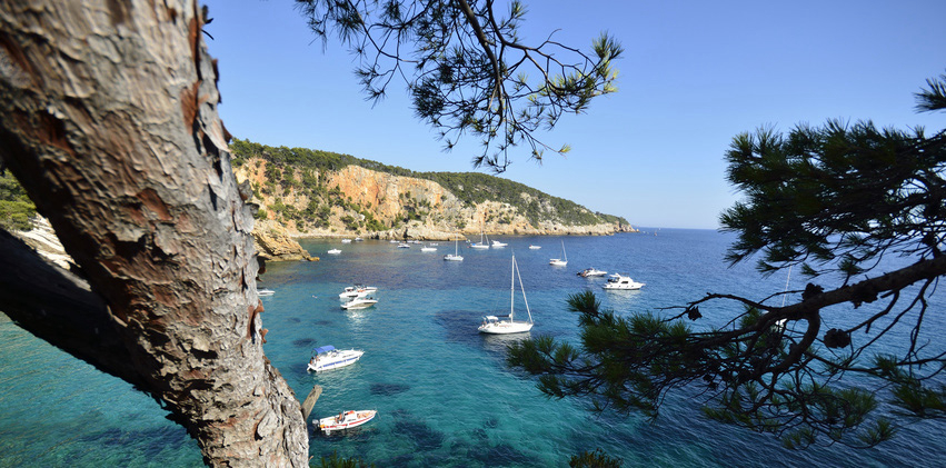 Vallongue Provenza-Alpes-Costa Azul - Bandol visuel 1/1