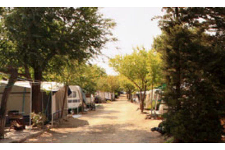 Vell Emporda Cataluña - Garriguella visuel 4/4