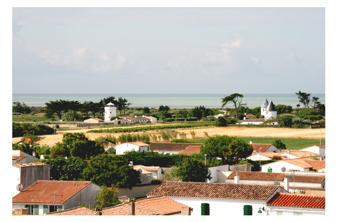 Village Vacances La Salicorne Poitou-Charentes - Ars-en-Ré visuel 3/8 Village Vacances La Salicorne Poitou-Charentes - Ars-en-Ré visuel 3/8