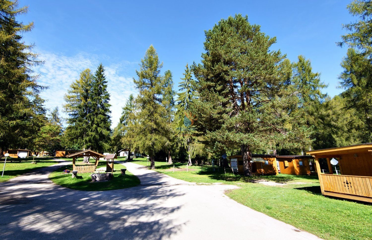 Village de Vacances Fiemme Trentino-Alto Adigio - Bellamonte visuel 6/7