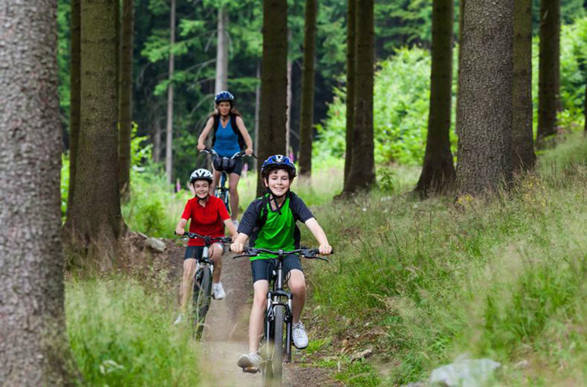 Village de Vacances Fiemme Trentino-Alto Adigio - Bellamonte visuel 5/7