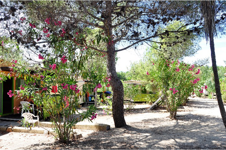 Villaggio Sos Flores Cerdeña - Tortoli visuel 5/7