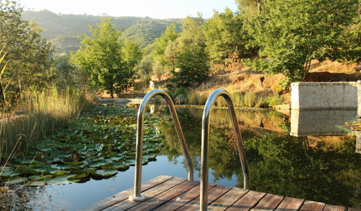 Vinha Da Manta Norte  - Faia visuel 1/4