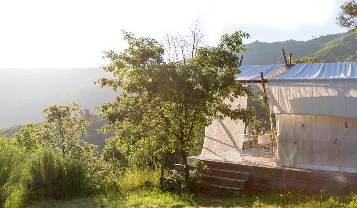 Vinha Da Manta Norte  - Faia visuel 4/4