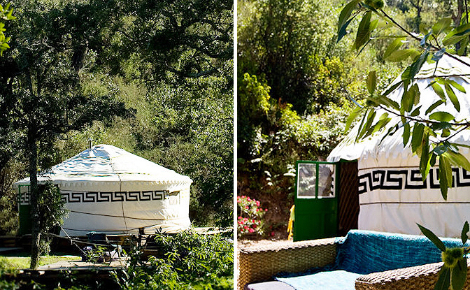 Walnut Tree Farm Algarve - aljezur visuel 2/2